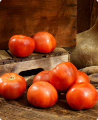 Summit Harvest Tomatoes